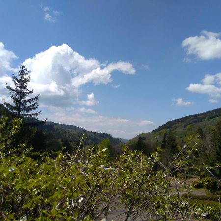 Le Relais Charraud Leilighet Le Mont-Dore Eksteriør bilde